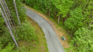 6 Walnut Ridge Road Vilas, NC 28692 - Photo 6 of 12 a view of a yard with plants and large trees