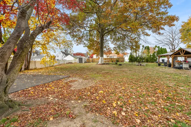 a view of a yard with a tree