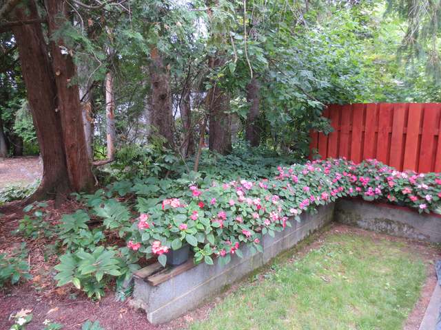 816 Balsam Street Rhinelander, WI 54501 - Photo 4 of 20 Gallery Image 4