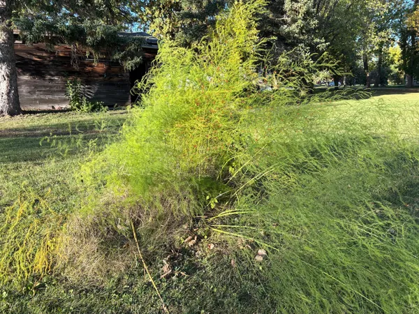 $24,900 | 211 7th Avenue Southeast, Baudette, MN 56623