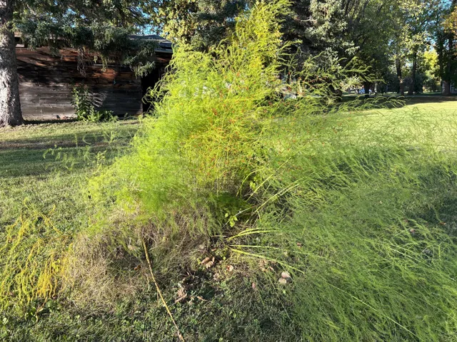 $24,900 | 211 7th Avenue Southeast, Baudette, MN 56623