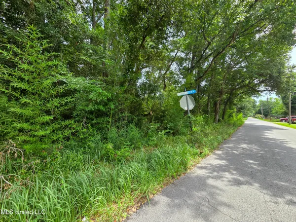 $49,000 | Frank Griffin Road, Moss Point, MS 39563