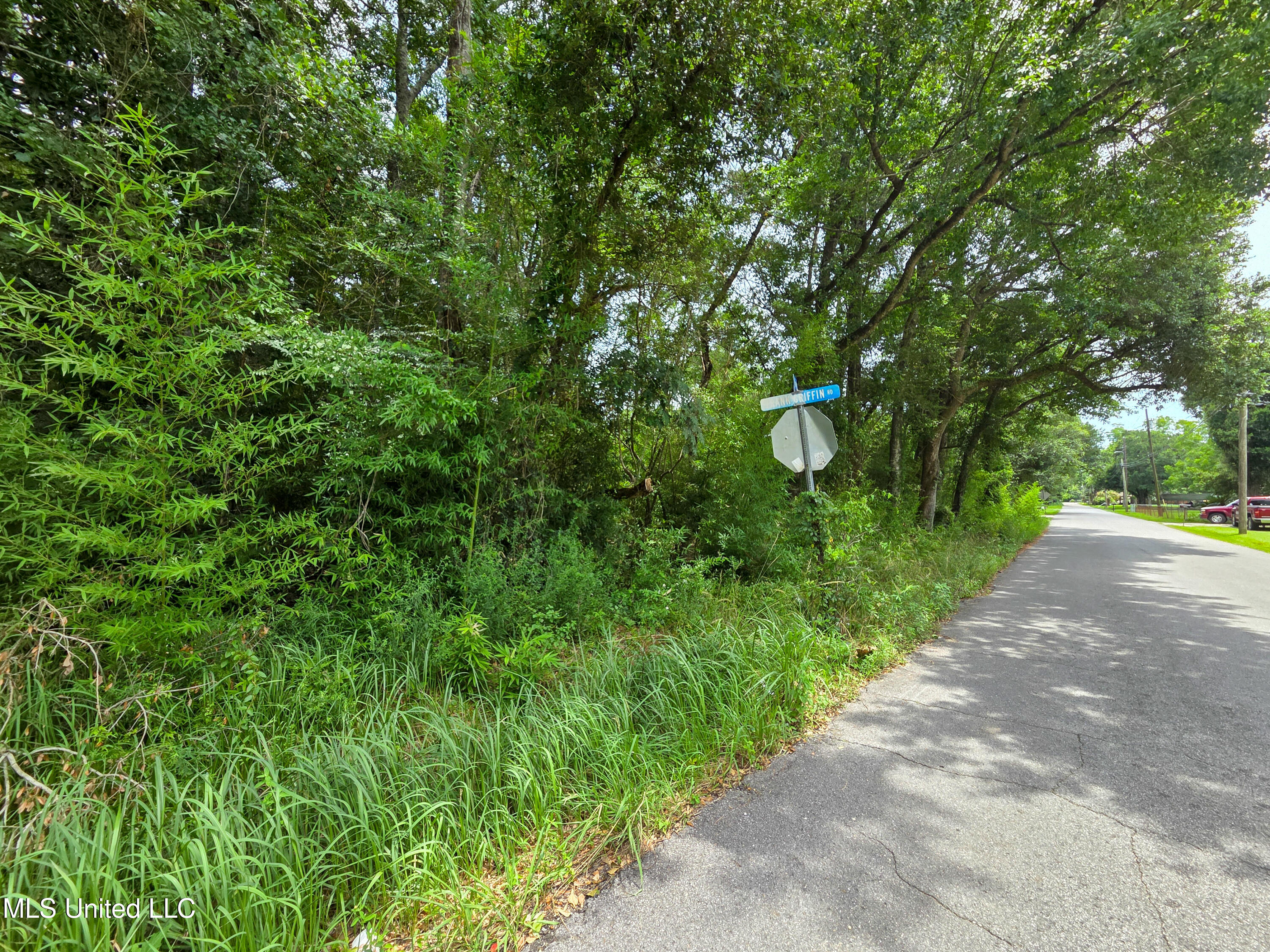 Frank Griffin Road Moss Point, MS 39563 - Photo 5 of 5 20250702_134425