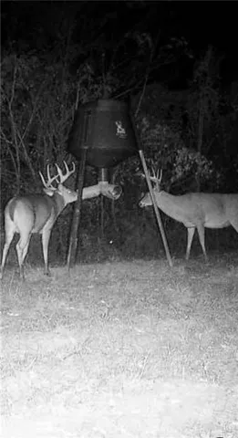 $585,000 | 0 Powerline Road, Angie, LA 70426