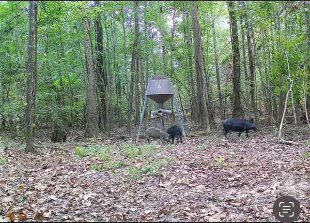 $585,000 | 0 Powerline Road, Angie, LA 70426