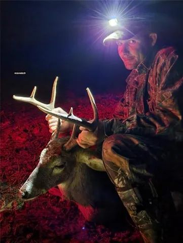 $585,000 | 0 Powerline Road, Angie, LA 70426