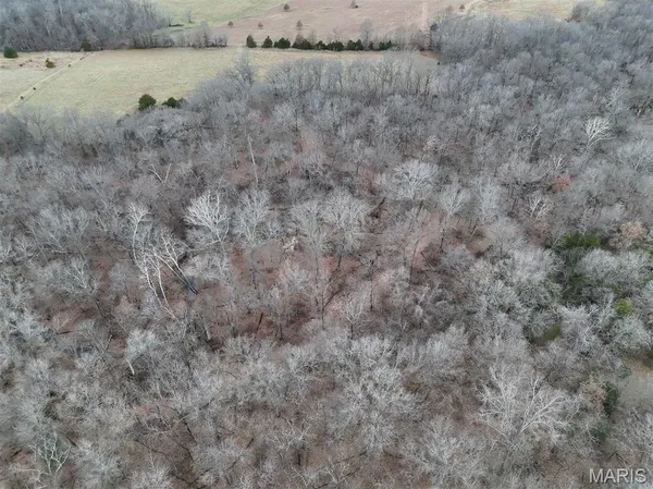 $293,750 | 0 Highway Yy (tract 5) Williamsburg Mo 63361, Montgomery City, MO 63361