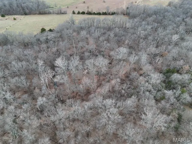 $293,750 | 0 Highway Yy (tract 5) Williamsburg Mo 63361, Montgomery City, MO 63361