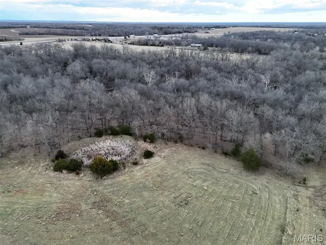 $293,750 | 0 Highway Yy (tract 5) Williamsburg Mo 63361, Montgomery City, MO 63361