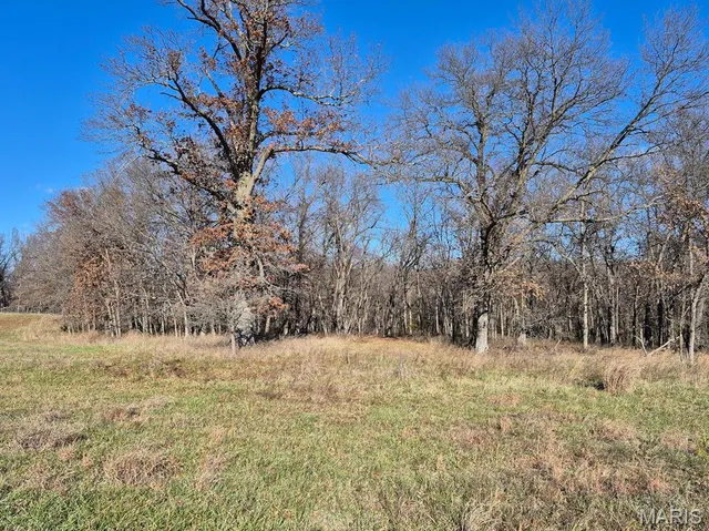 $293,750 | 0 Highway Yy (tract 5) Williamsburg Mo 63361, Montgomery City, MO 63361