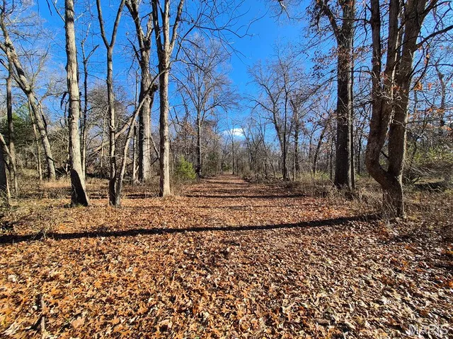 $293,750 | 0 Highway Yy (tract 5) Williamsburg Mo 63361, Montgomery City, MO 63361