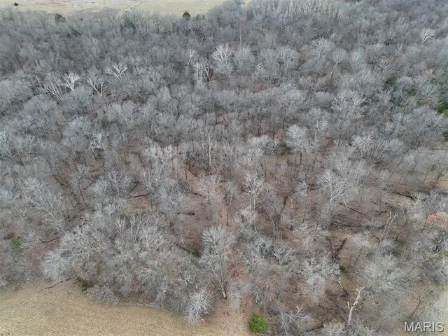 $293,750 | 0 Highway Yy (tract 5) Williamsburg Mo 63361, Montgomery City, MO 63361