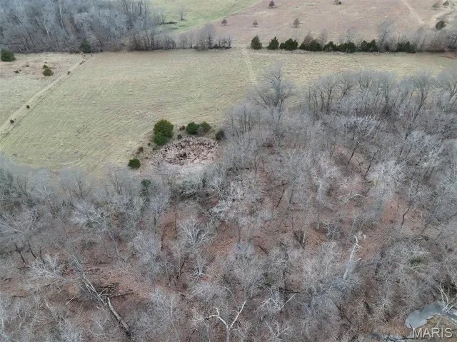 $293,750 | 0 Highway Yy (tract 5) Williamsburg Mo 63361, Montgomery City, MO 63361