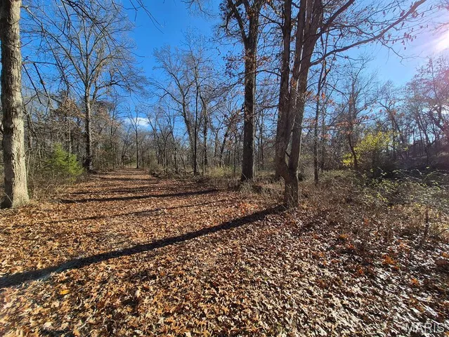 $293,750 | 0 Highway Yy (tract 5) Williamsburg Mo 63361, Montgomery City, MO 63361