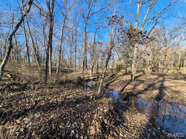 $293,750 | 0 Highway Yy (tract 5) Williamsburg Mo 63361, Montgomery City, MO 63361