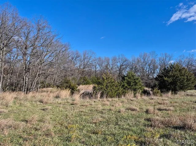 $293,750 | 0 Highway Yy (tract 5) Williamsburg Mo 63361, Montgomery City, MO 63361