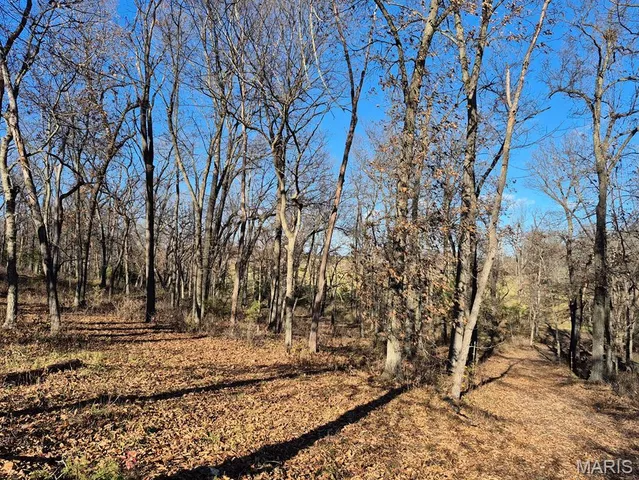 $293,750 | 0 Highway Yy (tract 5) Williamsburg Mo 63361, Montgomery City, MO 63361