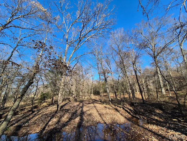 $293,750 | 0 Highway Yy (tract 5) Williamsburg Mo 63361, Montgomery City, MO 63361