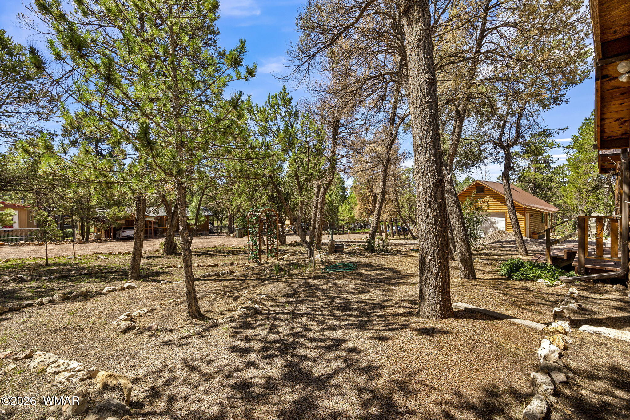 3342 Rim Lakes Drive Overgaard, AZ 85933 - Photo 4 of 30 Gallery Image 4