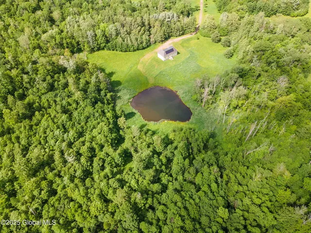 $399,900 | 410 Jones Hill Road, Jefferson, NY 12167