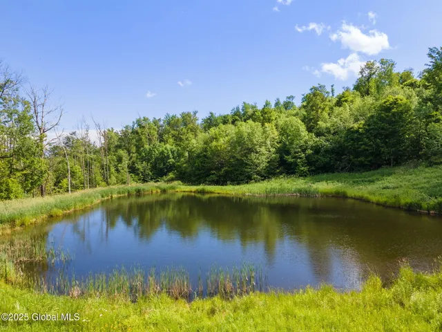 $399,900 | 410 Jones Hill Road, Jefferson, NY 12167