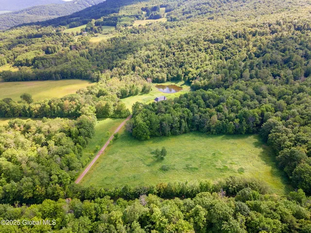 $399,900 | 410 Jones Hill Road, Jefferson, NY 12167