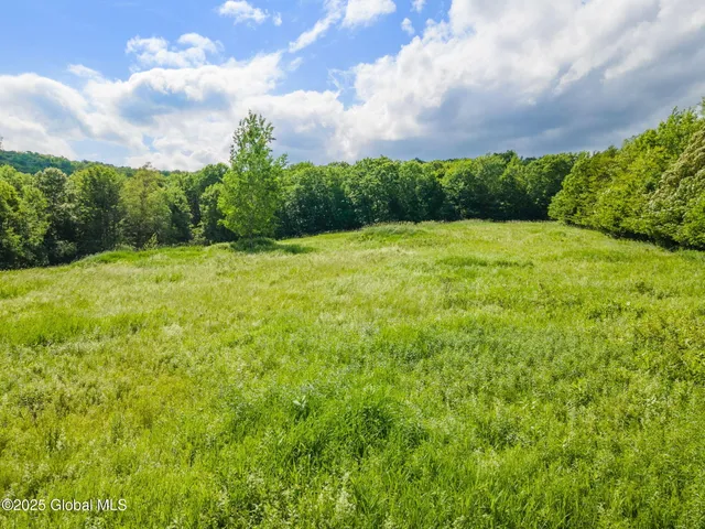 $399,900 | 410 Jones Hill Road, Jefferson, NY 12167