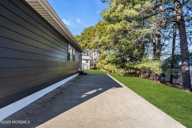 a view of a backyard with plants and large trees