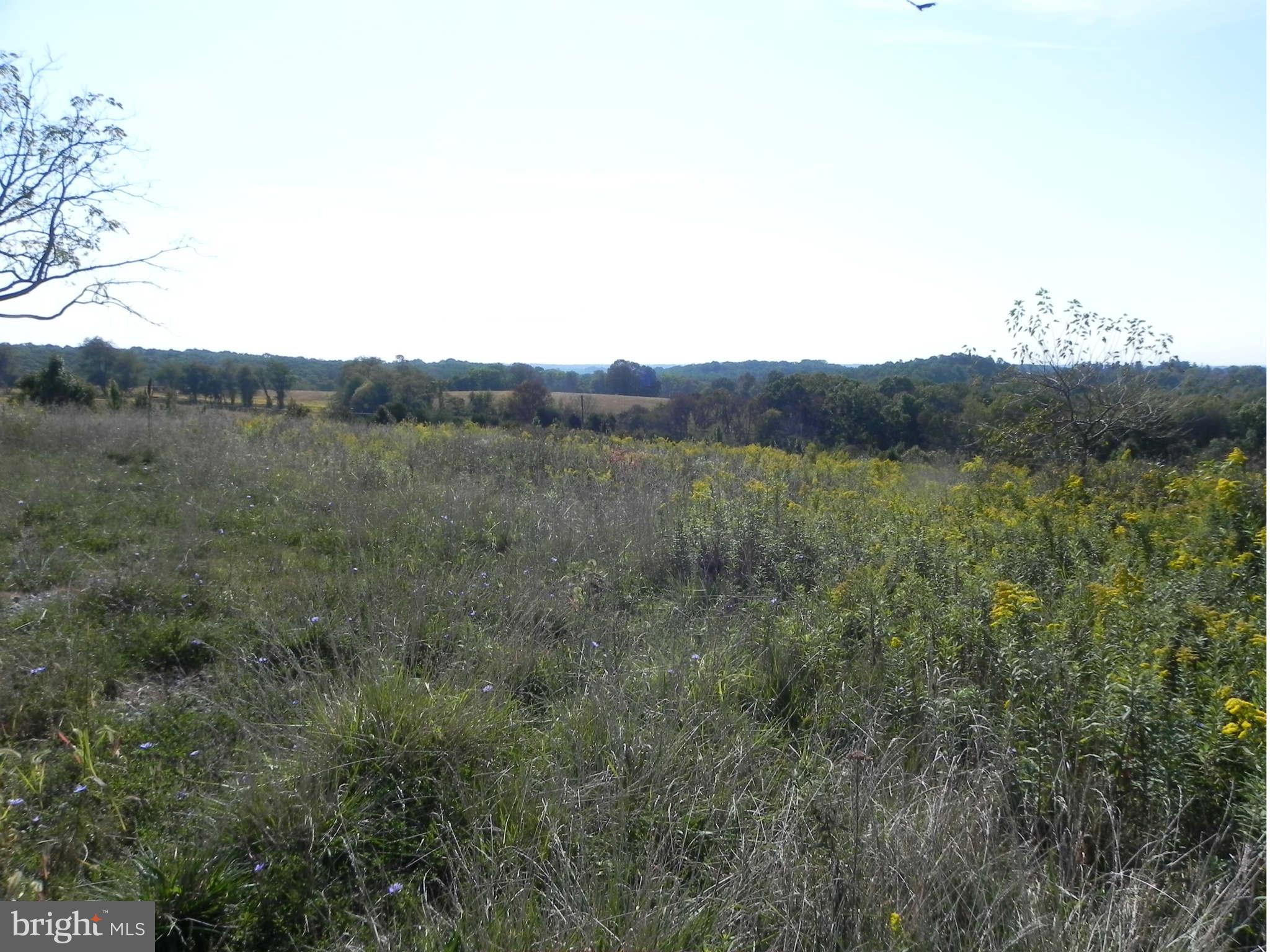 21300 Slidell Road Boyds, MD 20841 - Photo 3 of 7 a view of a mountain range with lush green forest