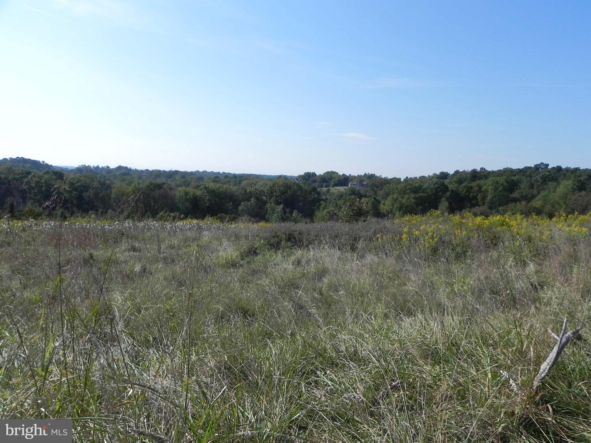 21300 Slidell Road Boyds, MD 20841 - Photo 5 of 7 a view of a field with trees in background