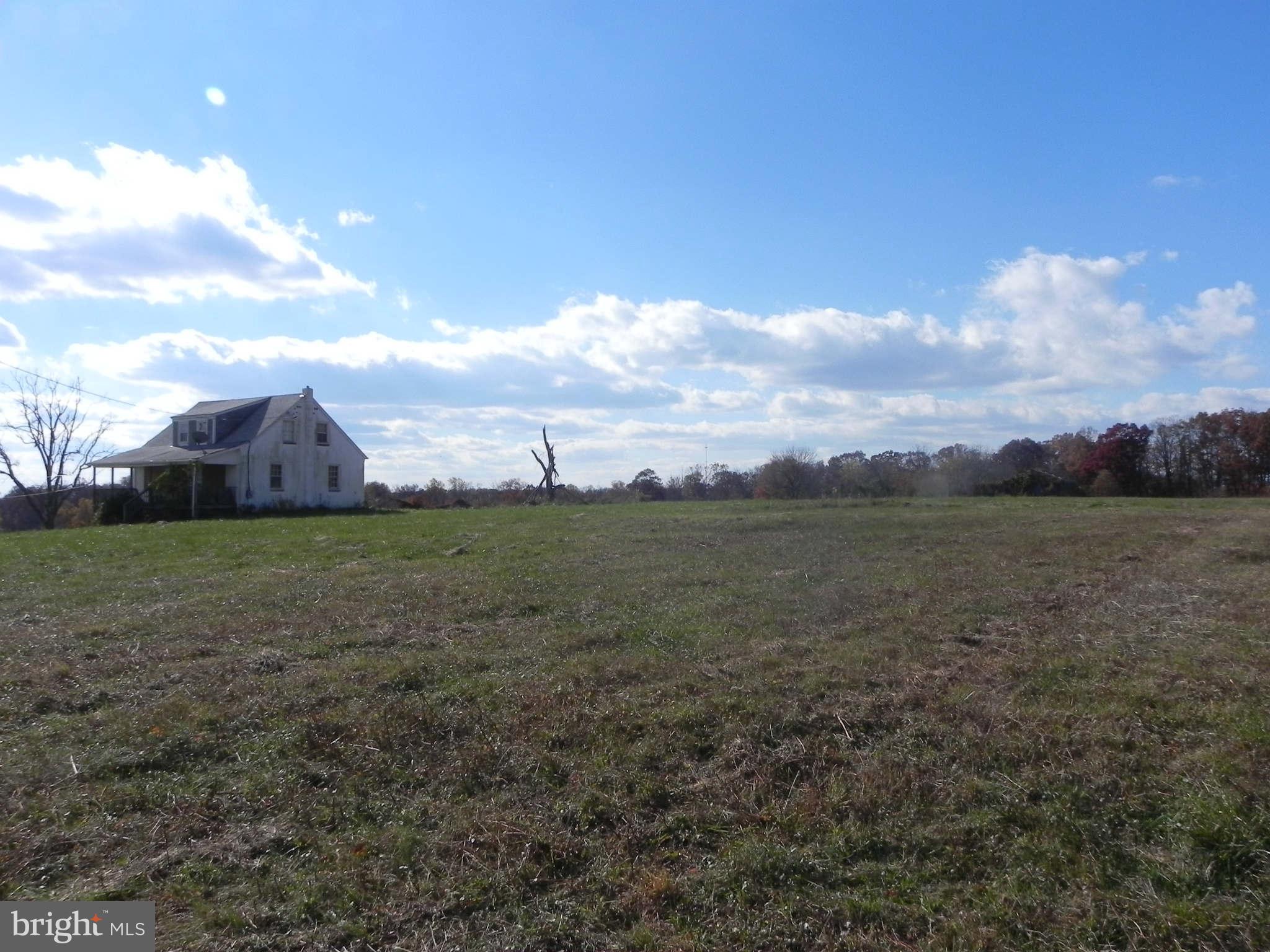 21300 Slidell Road Boyds, MD 20841 - Photo 6 of 7 a view of a garden