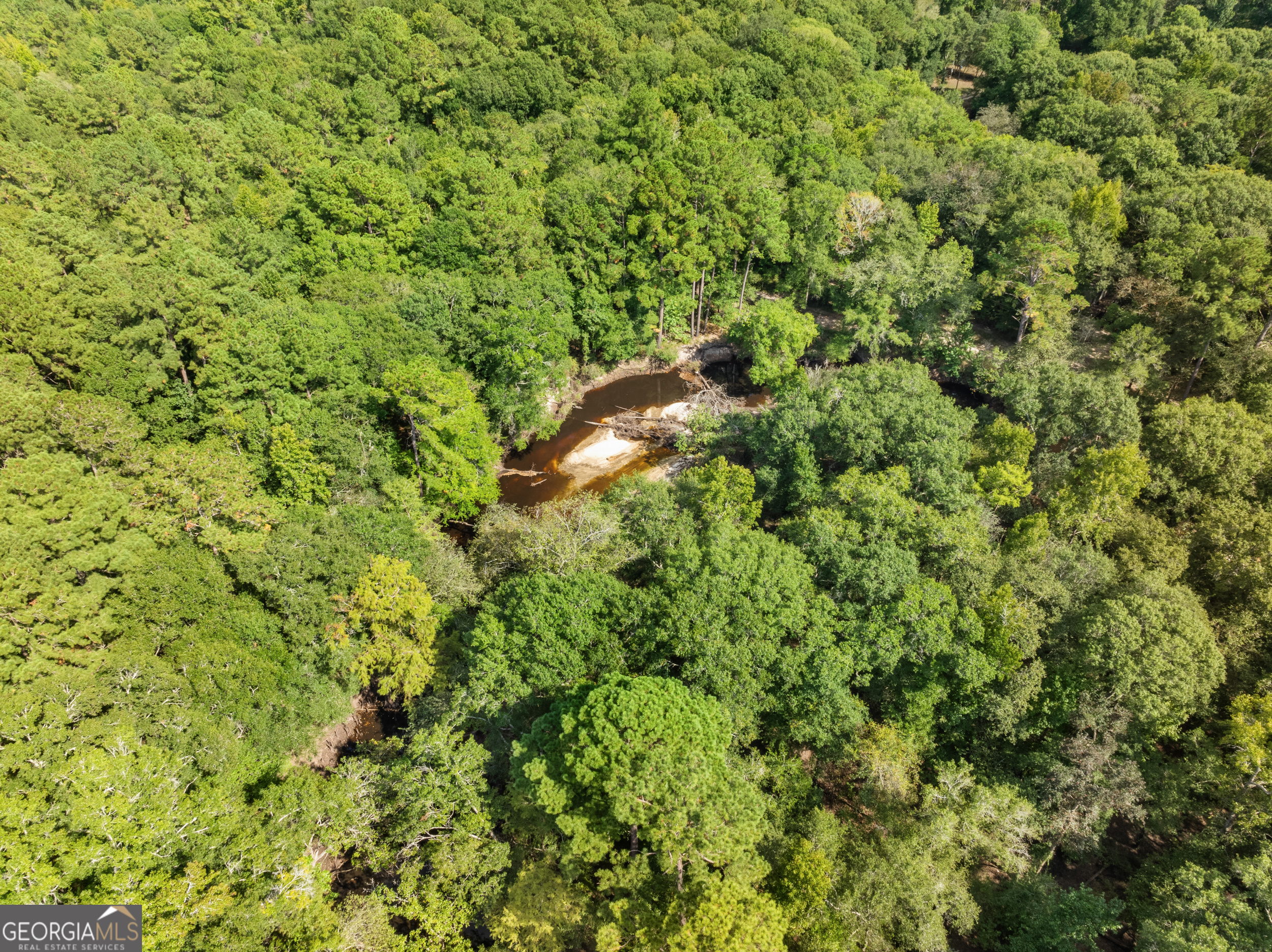 628 Riverside Drive Claxton, GA 30417 - Photo 29 of 32