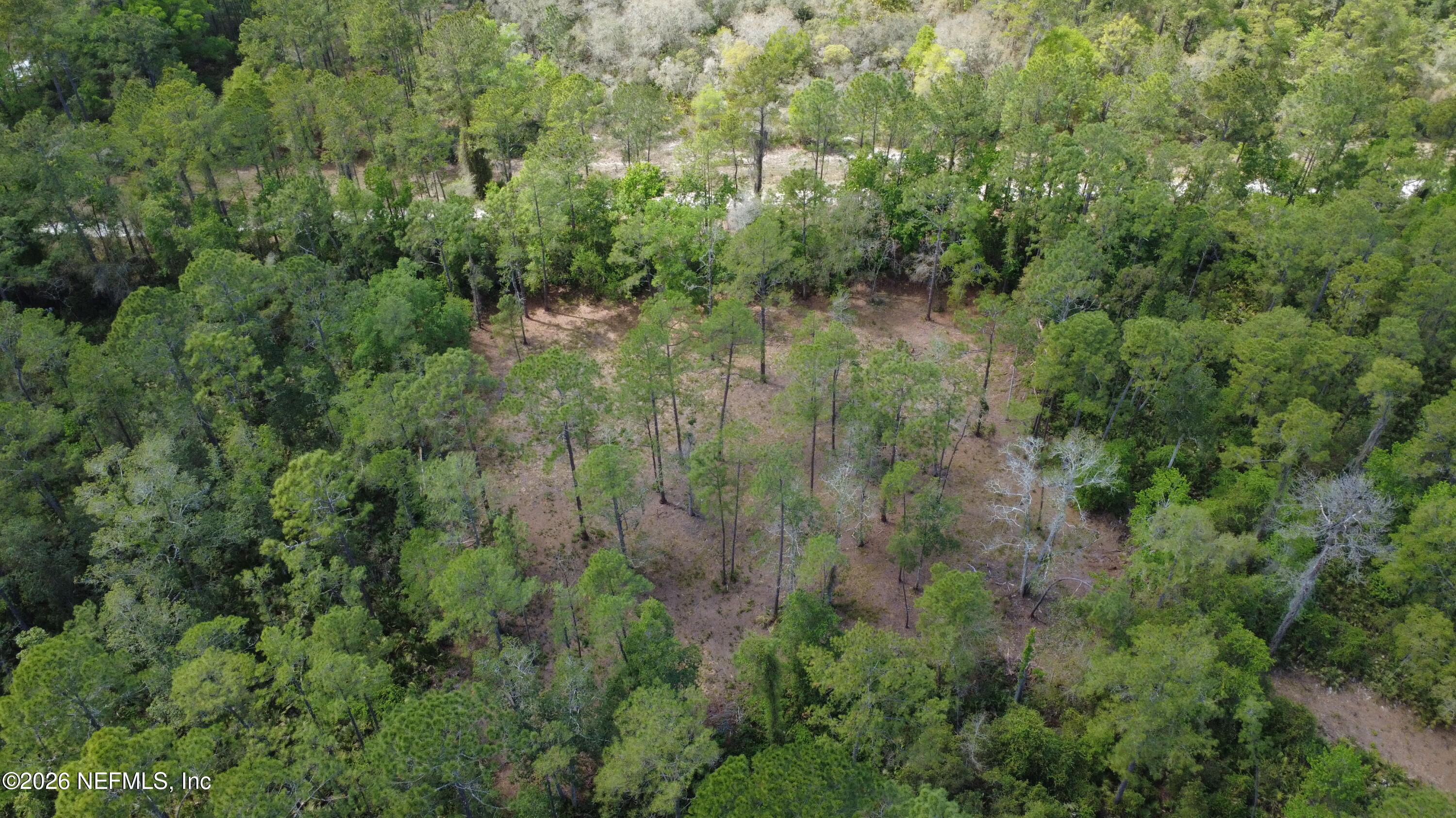 178 Sumter Road Satsuma, FL 32189 - Photo 3 of 6 DJI_0407