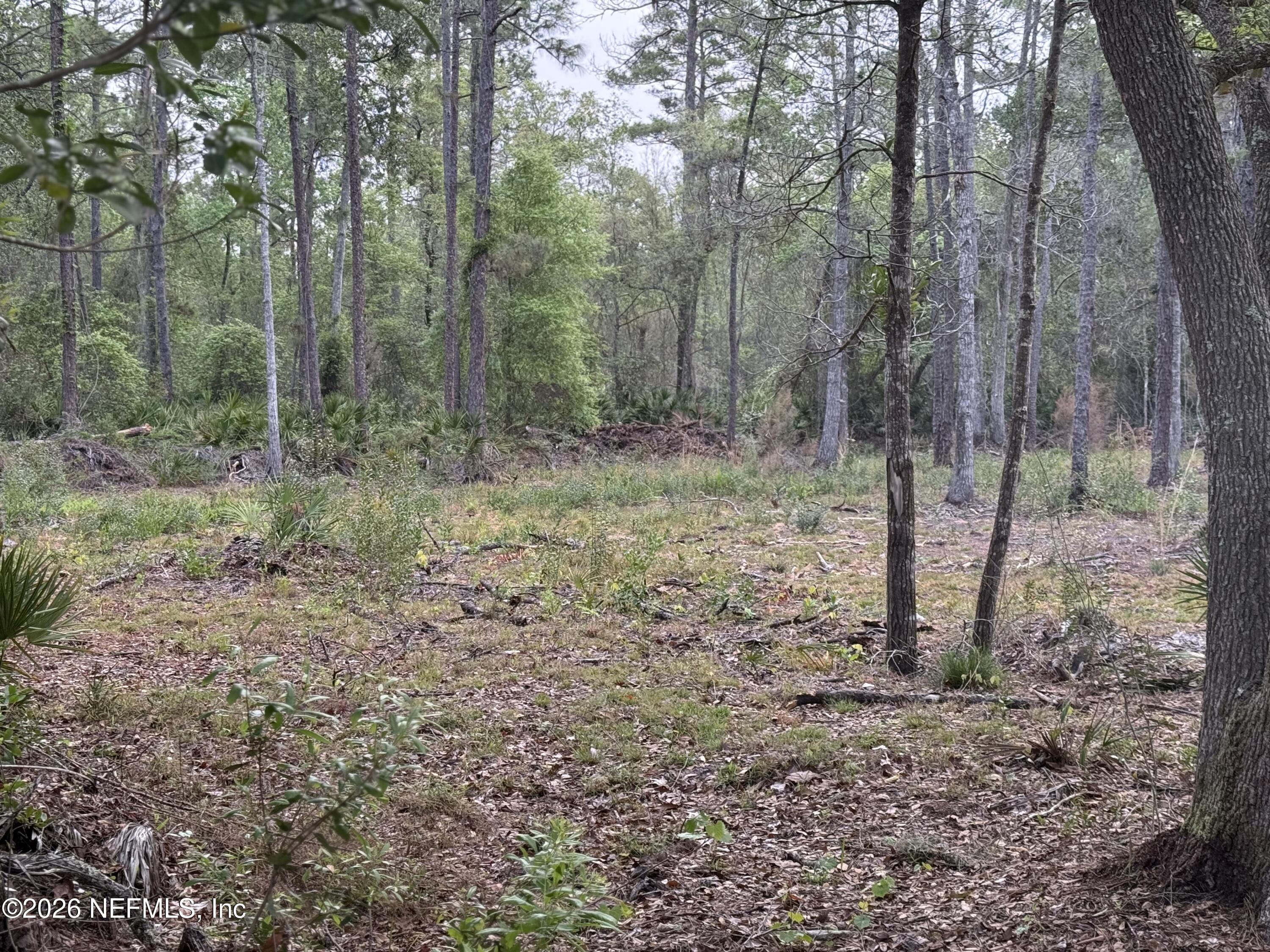 178 Sumter Road Satsuma, FL 32189 - Photo 5 of 6 IMG_0496