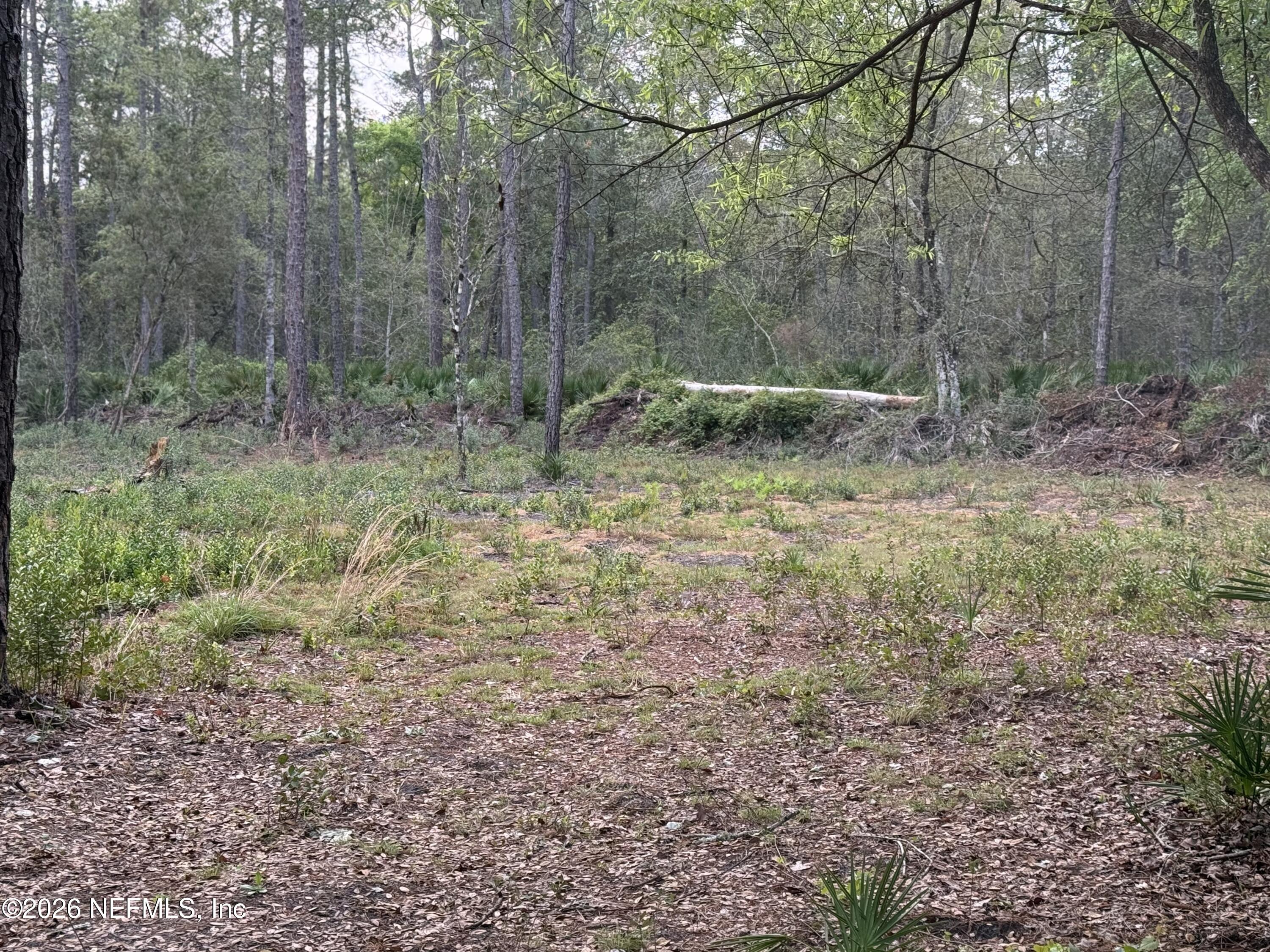 178 Sumter Road Satsuma, FL 32189 - Photo 6 of 6 IMG_0498
