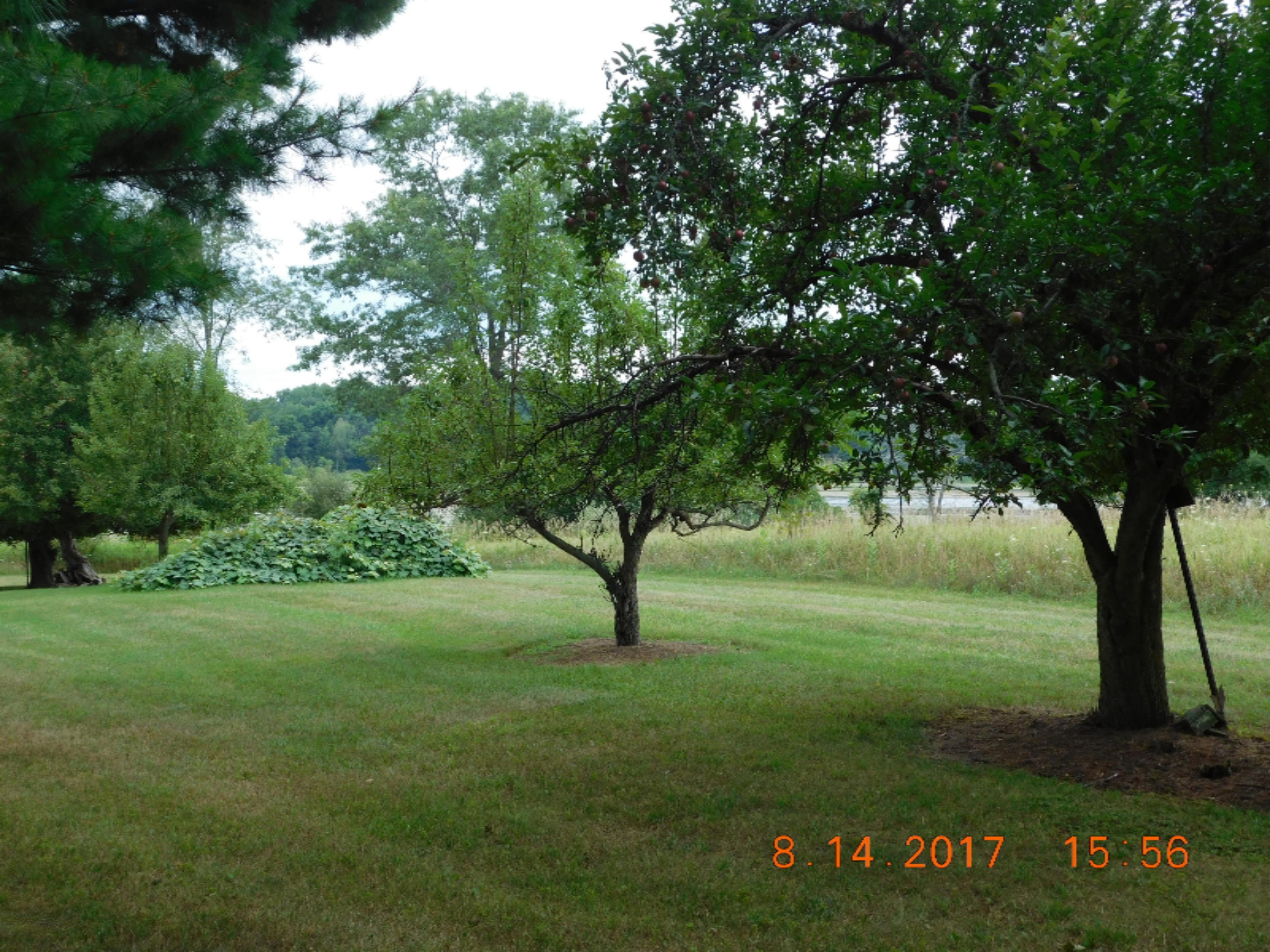 10907 Kendaville Road Coral, MI 49322 - Photo 14 of 31 DSCN7092