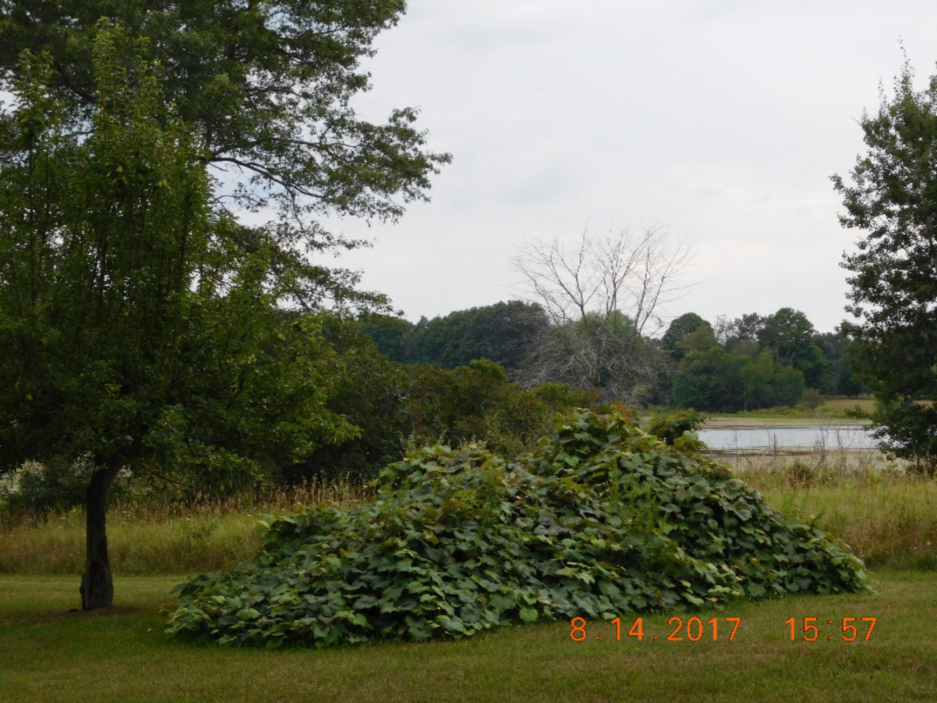 10907 Kendaville Road Coral, MI 49322 - Photo 16 of 31 DSCN7095