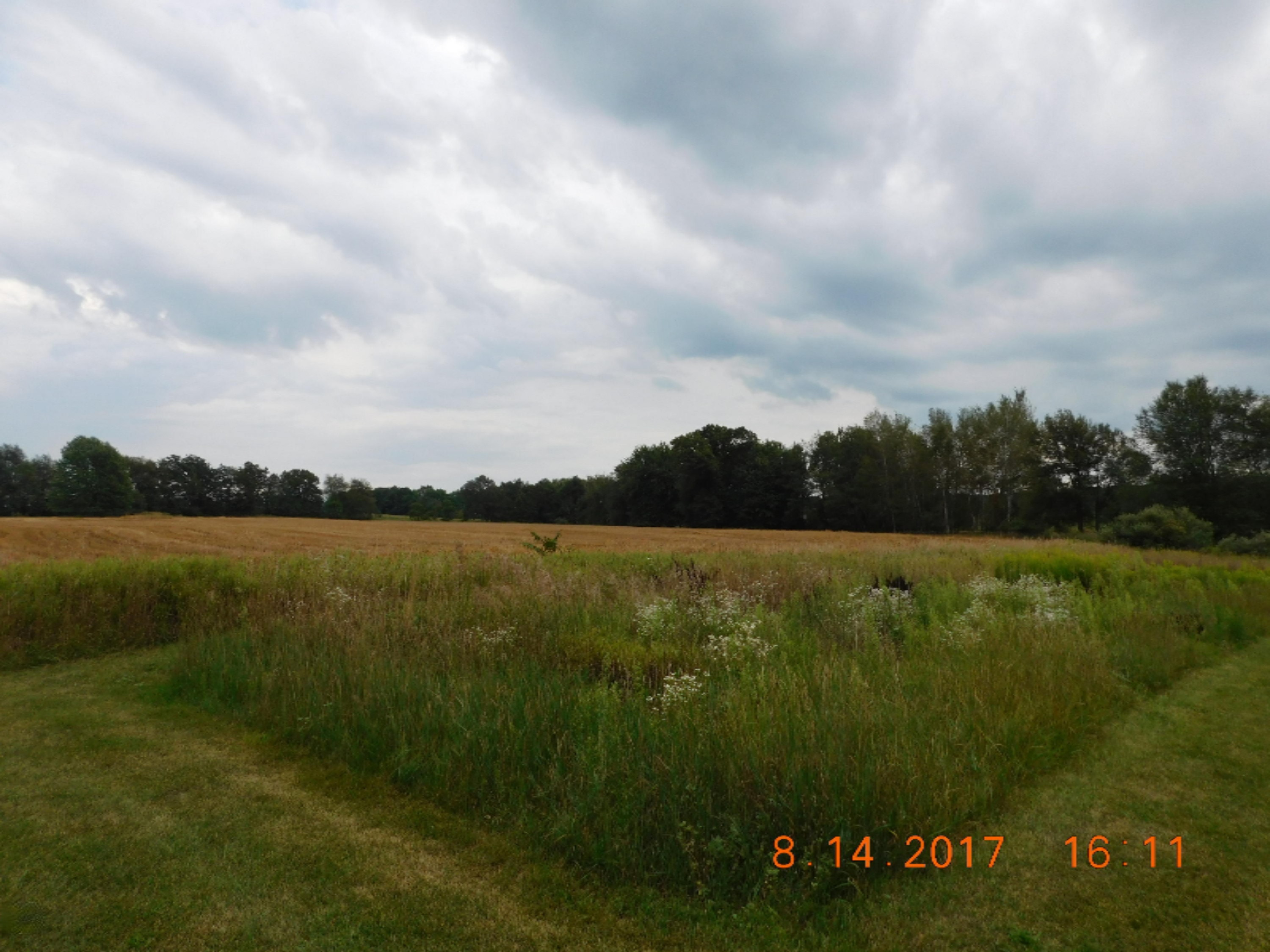 10907 Kendaville Road Coral, MI 49322 - Photo 23 of 31 DSCN7114