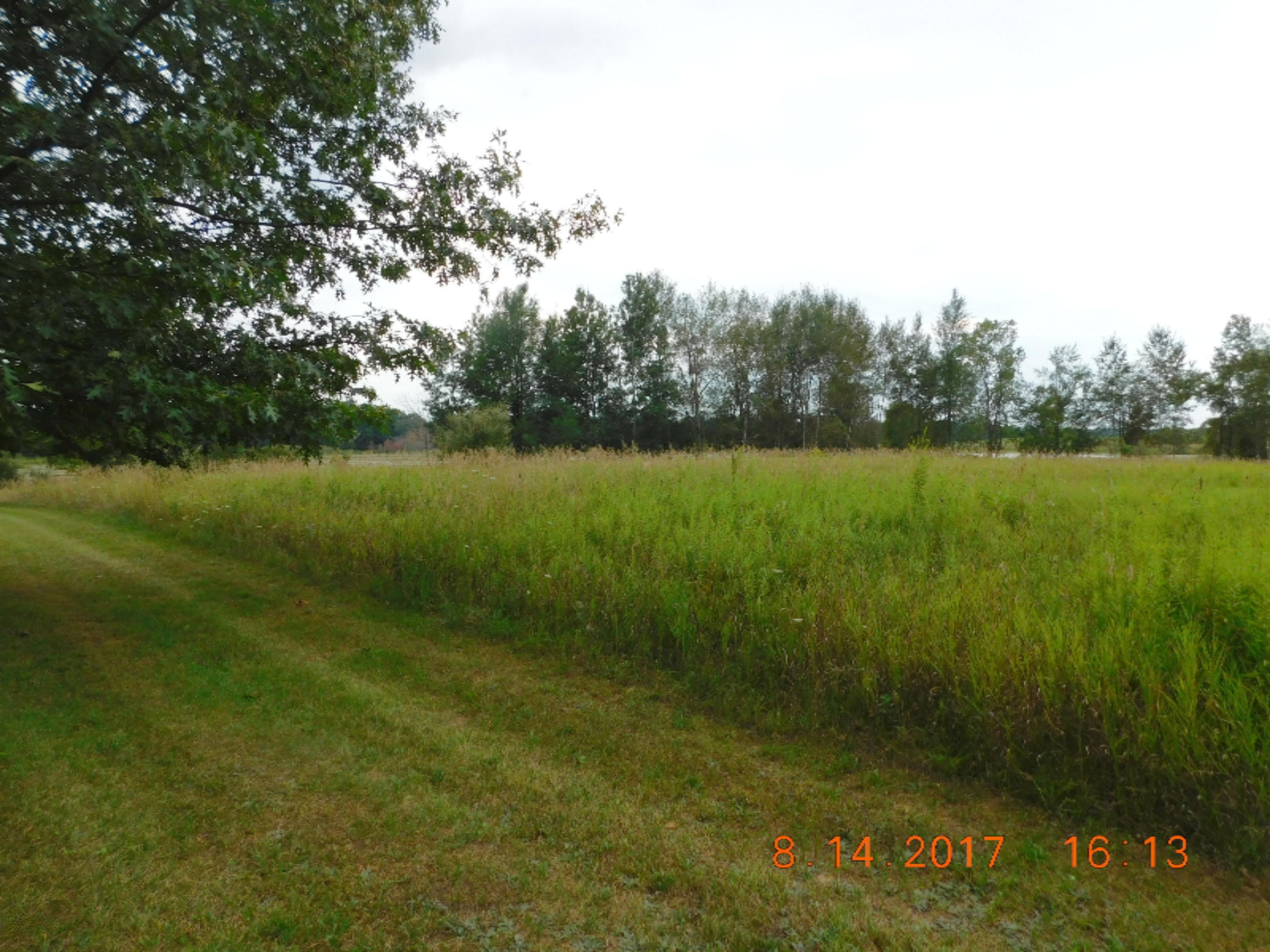 10907 Kendaville Road Coral, MI 49322 - Photo 24 of 31 DSCN7116