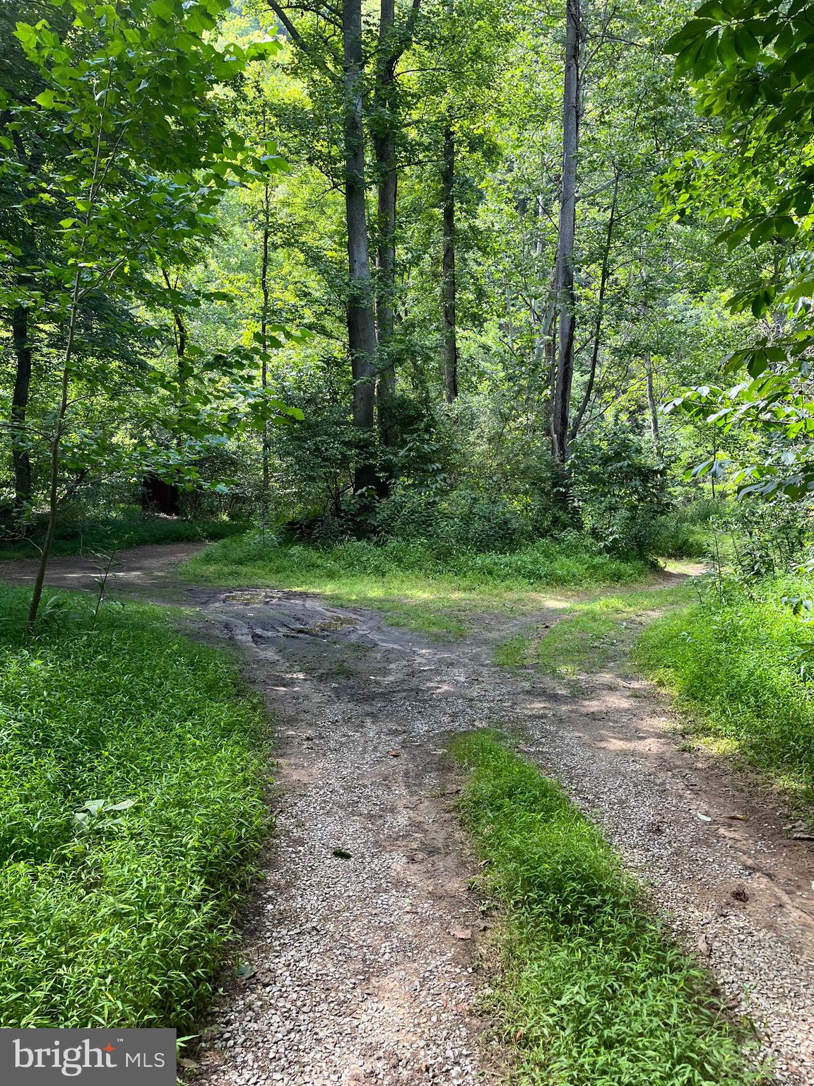 43 Seneca Ridge Road Great Cacapon, WV 25422 - Photo 27 of 32 Gallery Image 27