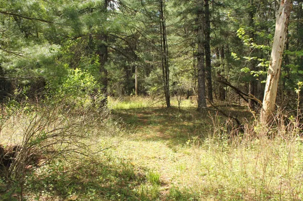 $183,000 | 8th Road, Unit 3, Westfield, WI 53964