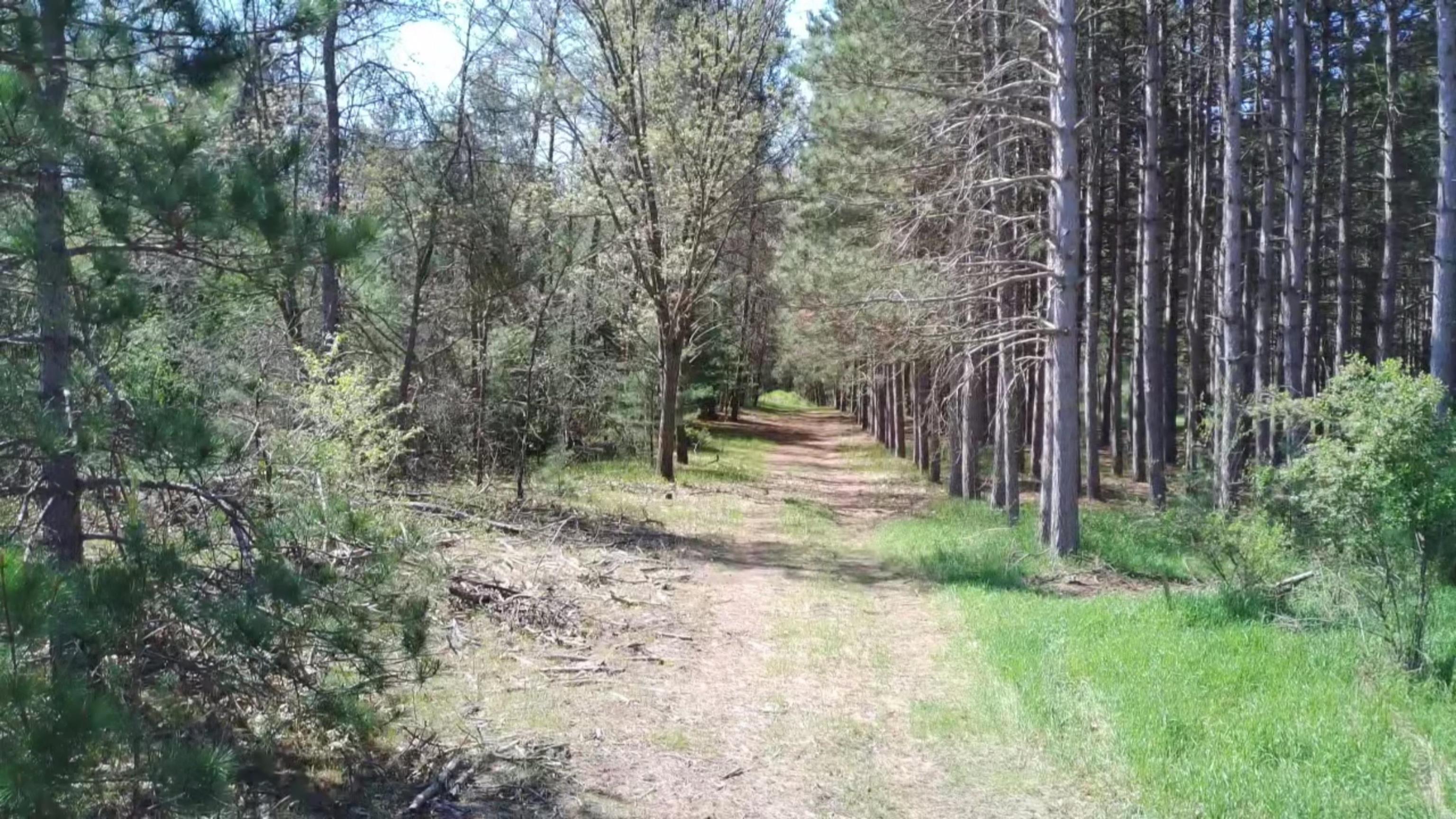 8th Road, Unit 3 Westfield, WI 53964 - Photo 11 of 16