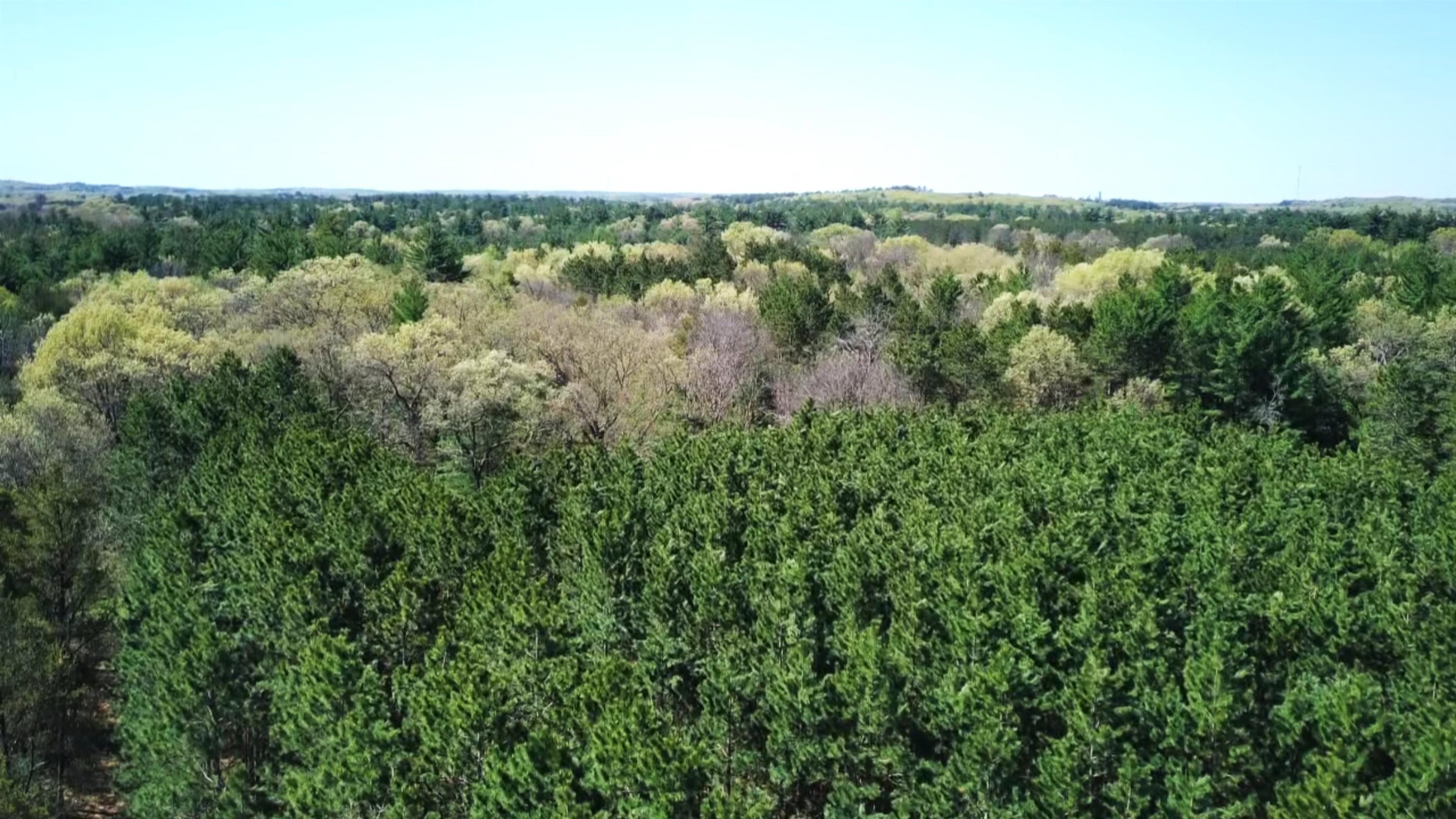 8th Road, Unit 3 Westfield, WI 53964 - Photo 13 of 16