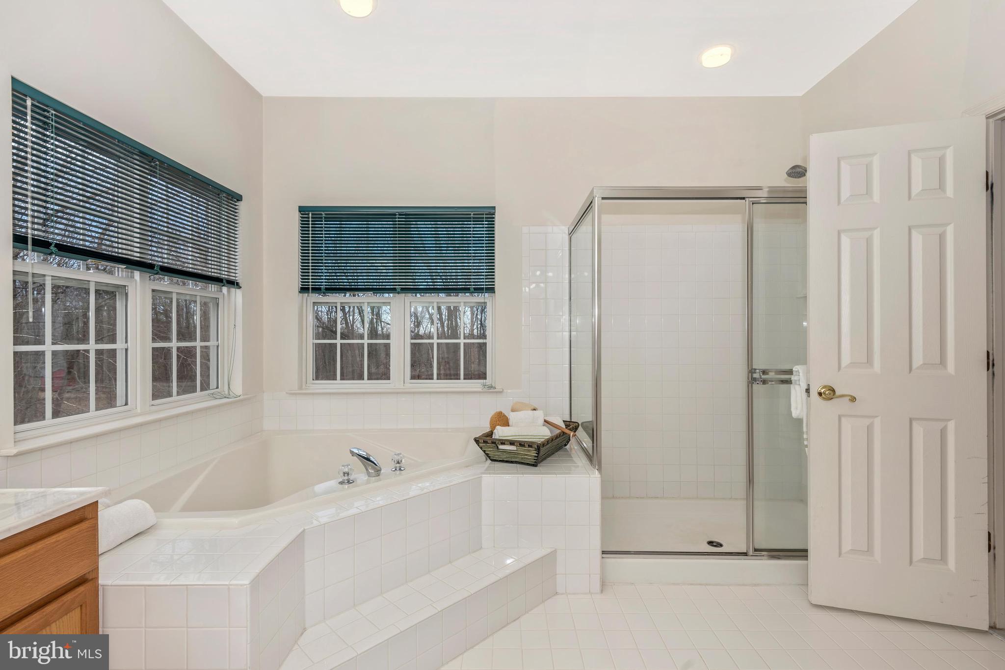 10824 Avonlea Ridge Place Damascus, MD 20872 - Photo 22 of 48 Master Bath