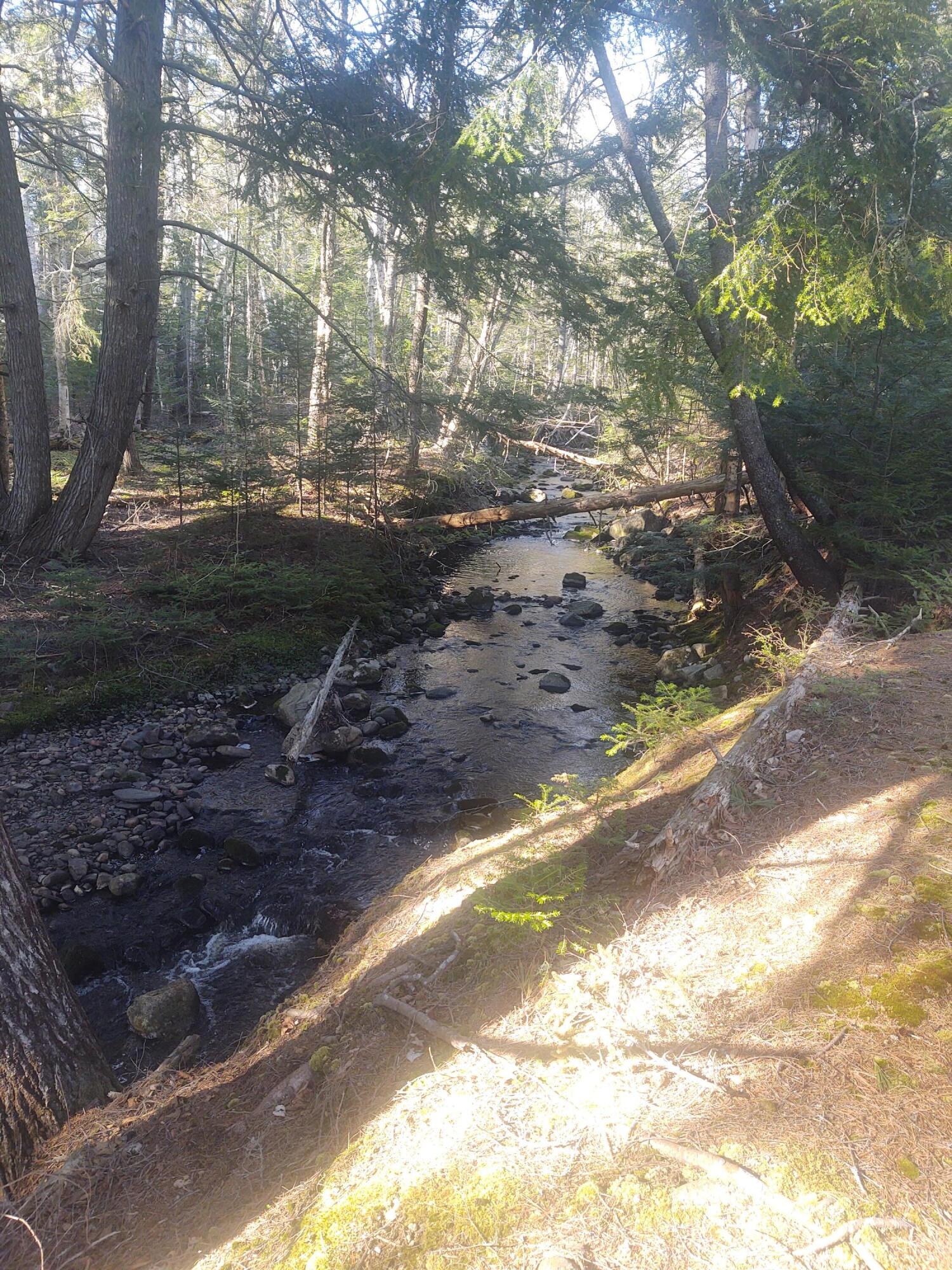 2101 Friendship Road Waldoboro, ME 04572 - Photo 59 of 62 Upstream