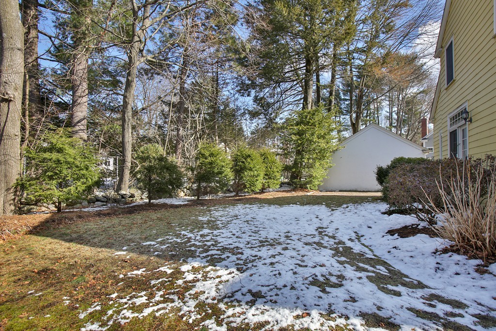 14 Pilgrim Road Wellesley, MA 02481 - Photo 19 of 20 a view of a dirt road with trees
