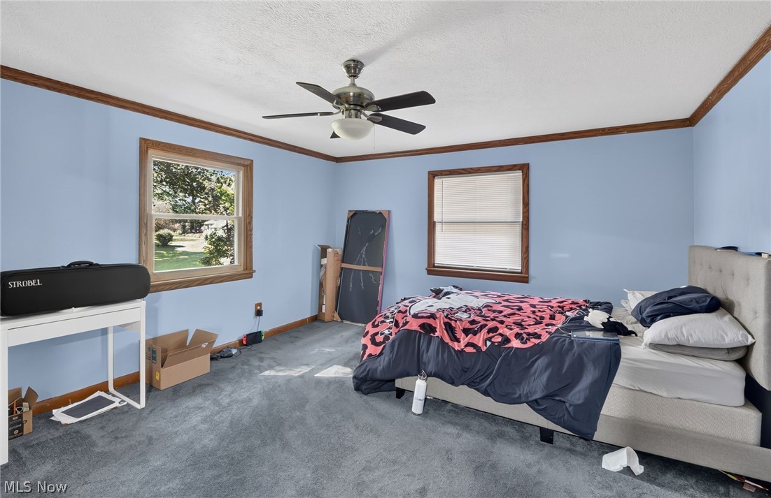 598 Randolph Road Mogadore, OH 44260 - Photo 21 of 46 Spacious bedroom with ceiling fan, wood-trim windows providing natural light, and carpeted flooring throughout