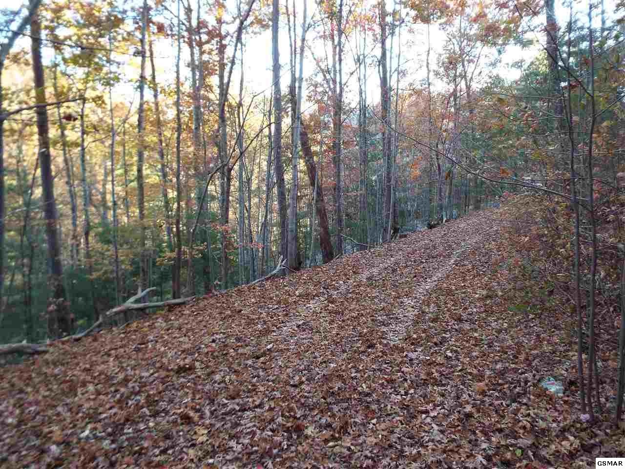 55 Whetstone Road Sevierville, TN 37862 - Photo 2 of 11 Gallery Image 2