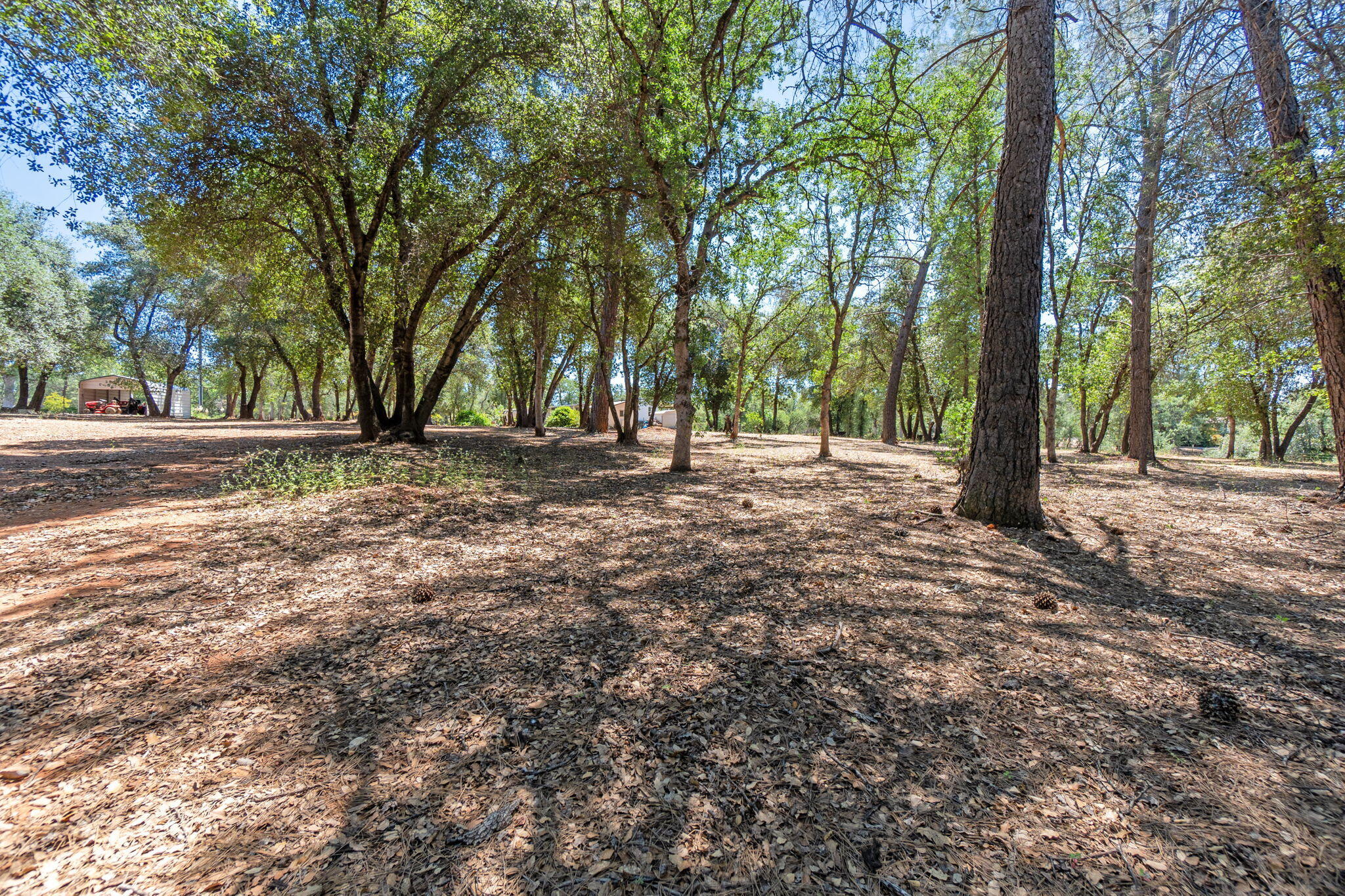 10390 October Lane Redding, CA 96003 - Photo 55 of 94 62-web-or-mls-BiggerFlow Real Estate Med