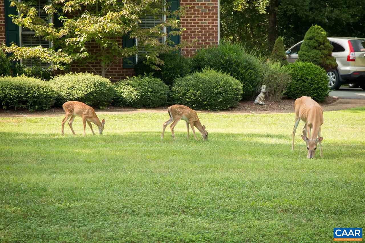 2235 Walnut Ridge Lane Charlottesville, VA 22911 - Photo 39 of 39 Gallery Image 39